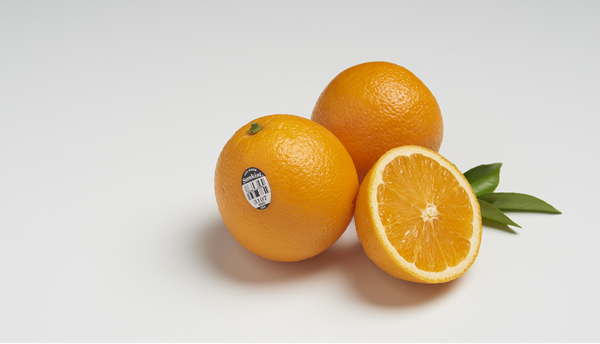 1777527635153582.png 图片3.png